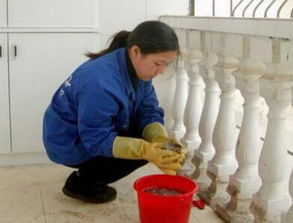 帮多洁家政服务加盟 信息技术加持，创业更省心