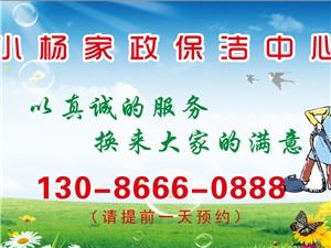 大邑家政服务全方位指南 让您轻松找到贴心生活助手