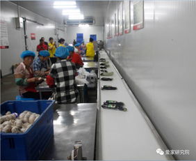 欢乐爱家工厂开放日 以信息技术咨询服务，用心感知，用心服务